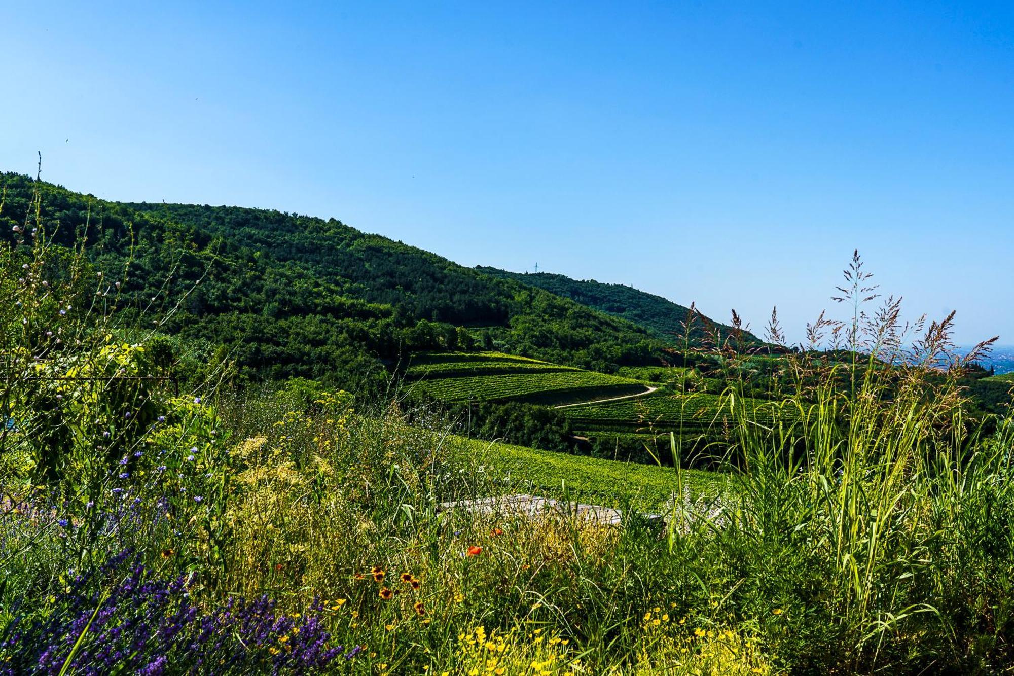Villa Balis Crema Verona Hills (Adults Only) Grezzana Kültér fotó